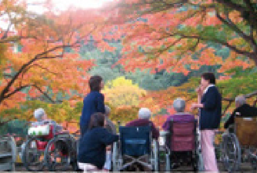 11月のイベント