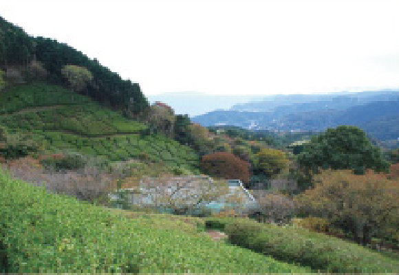 姫の沢公園