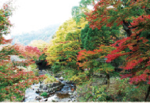 熱海梅園