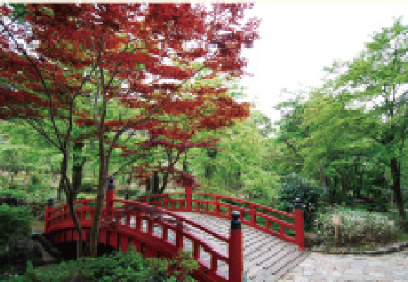 熱海梅園